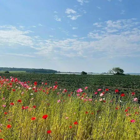 Feriehus With View Of Helnaes Bay Hårby